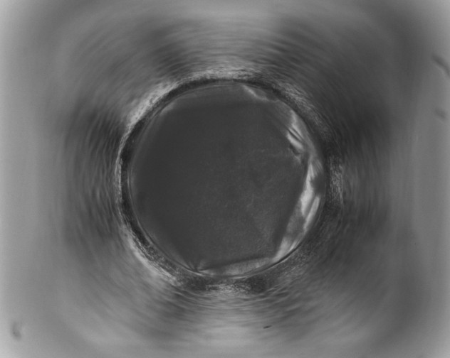 X0000100880678200807071127