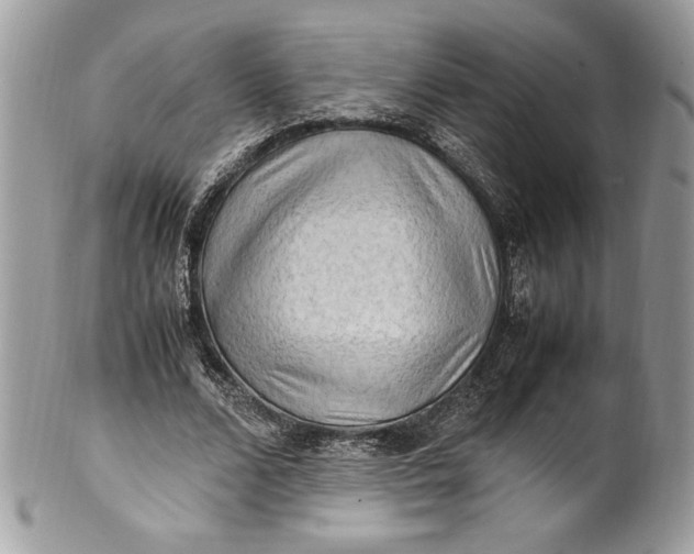 X0000100880680200807071127