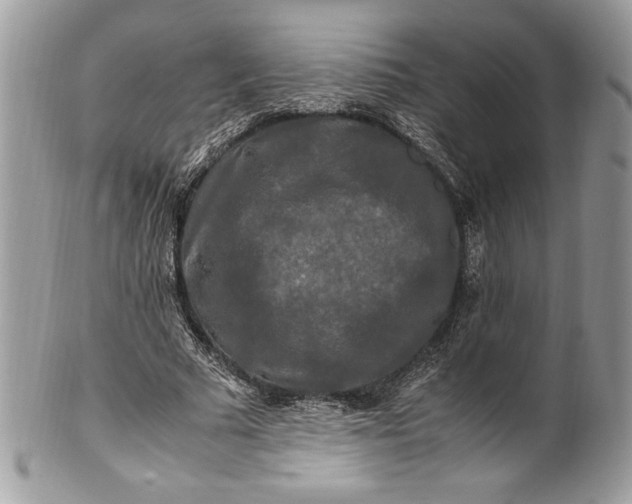 X0000100880681200807071127