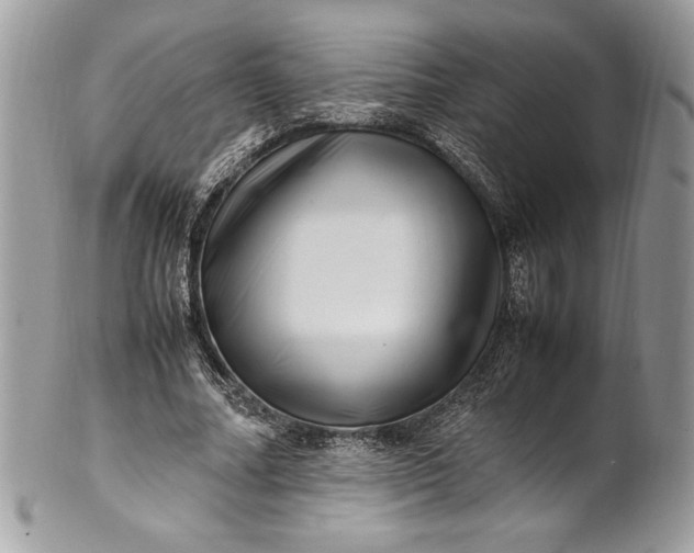 X0000100880682200807071127