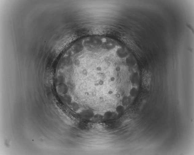 X0000100880683200807071127