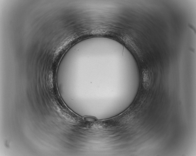 X0000100880684200807071127