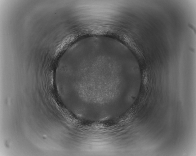 X0000100880685200807071127