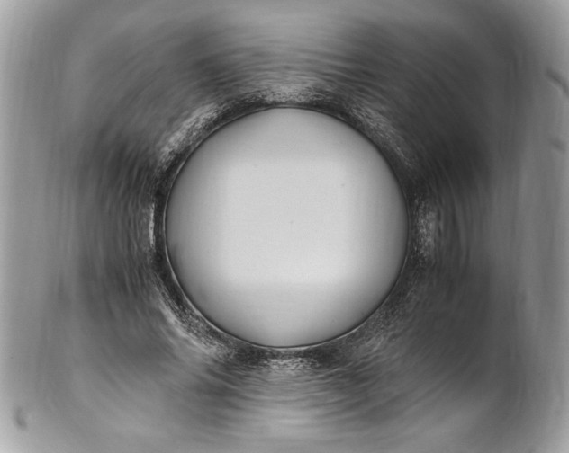 X0000100880686200807071127