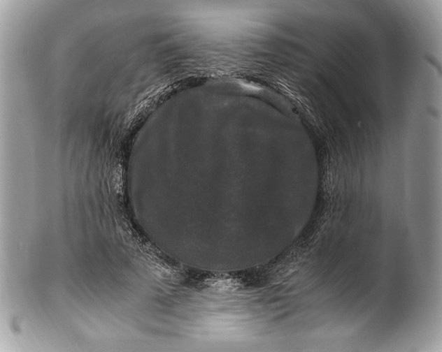 X0000100880689200807071127