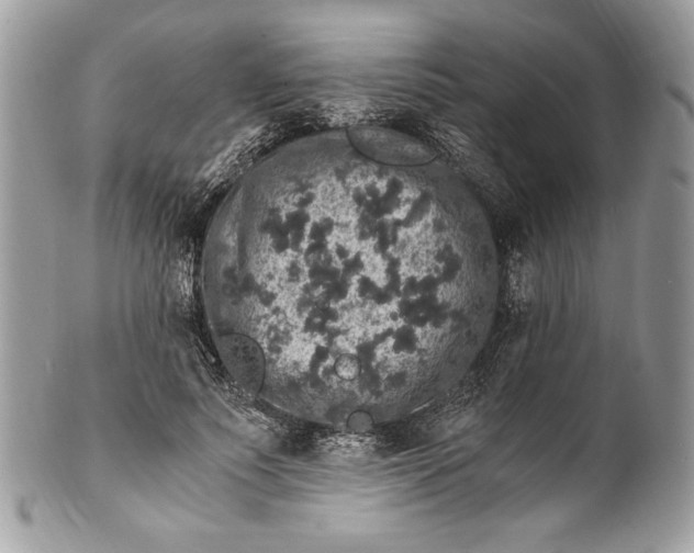 X0000100880691200807071127