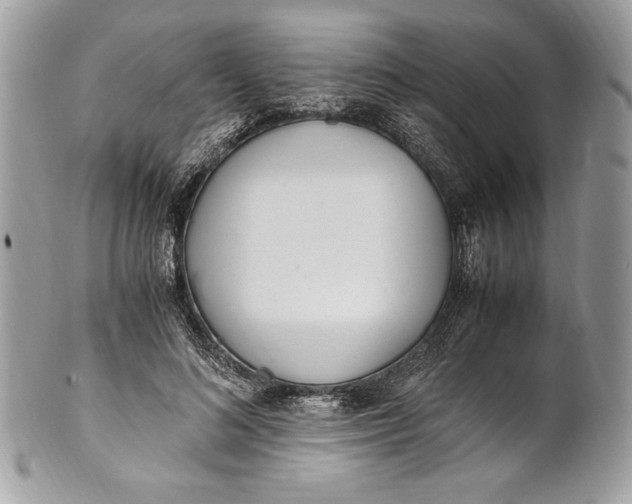 X0000100880692200807071127