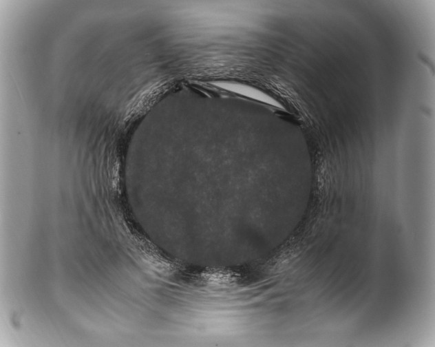 X0000100880693200807071127