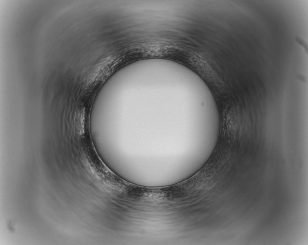 X0000100880694200807071127