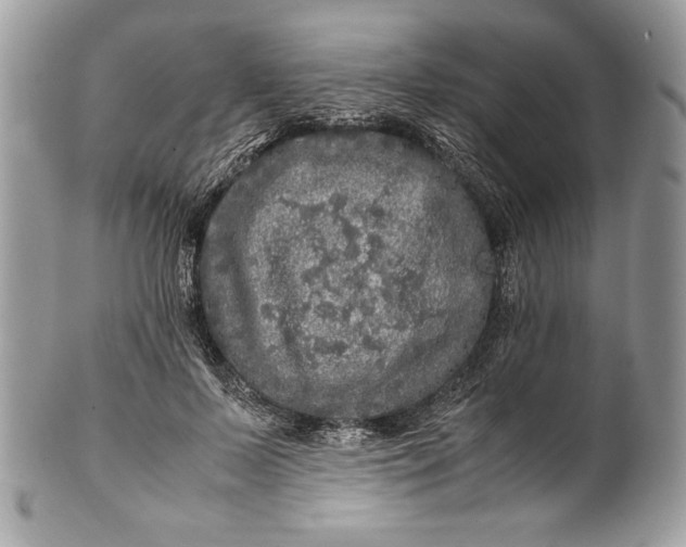 X0000100880695200807071127