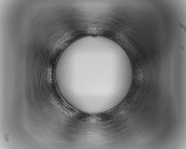 X0000100880696200807071127