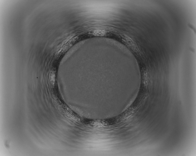 X0000100880697200807071127