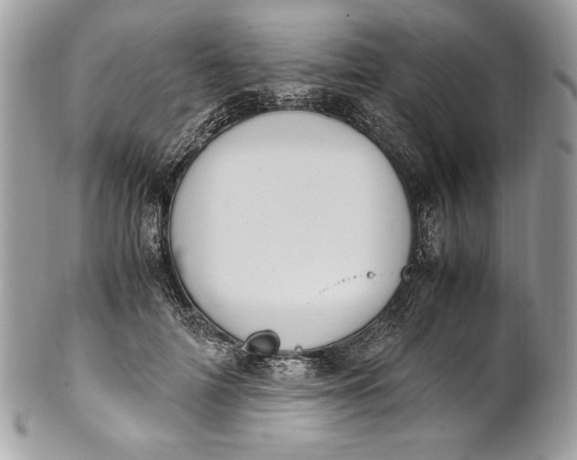 X0000100880698200807071127