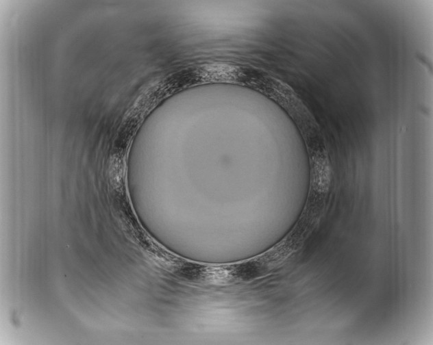 X0000100880701200807071126