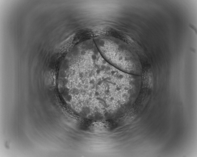 X0000100880703200807071126