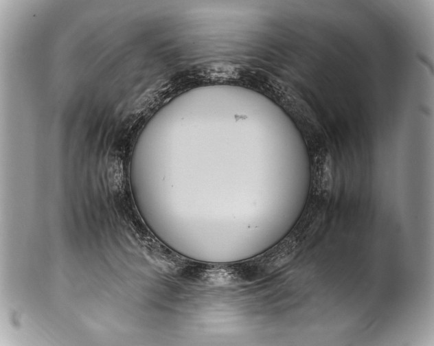 X0000100880704200807071126