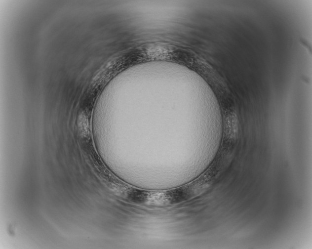 X0000100880705200807071126