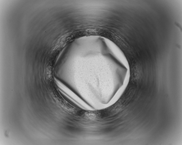 X0000100880706200807071126