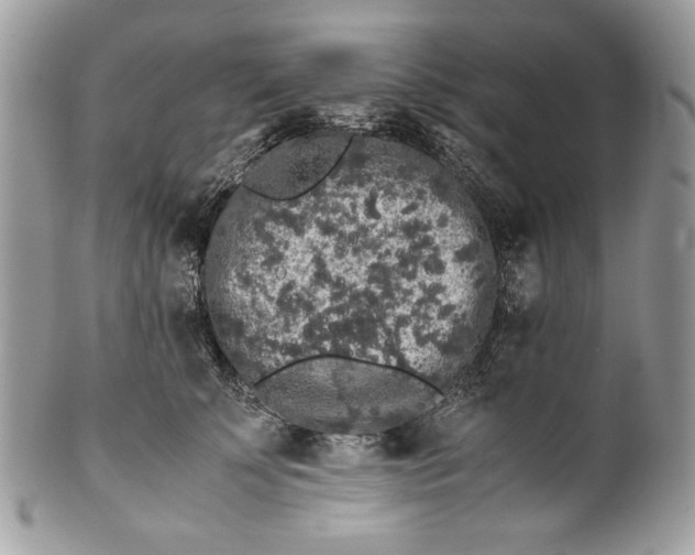 X0000100880707200807071126