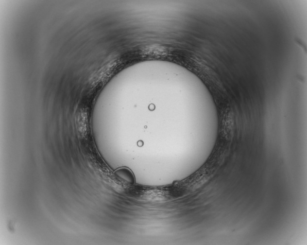 X0000100880708200807071126