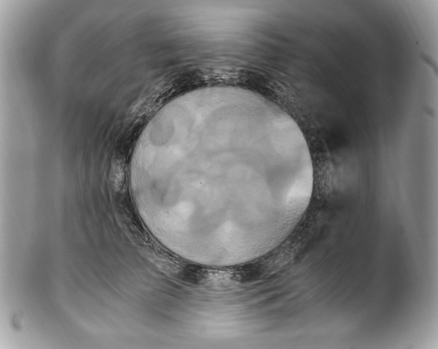 X0000100880709200807071126