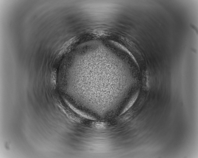 X0000100880710200807071126