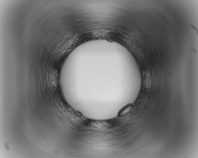 X0000100880712200807071126