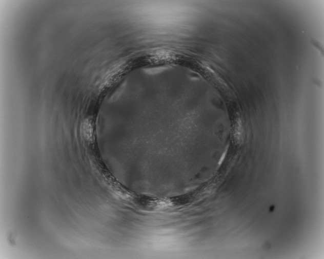 X0000100880715200807071126