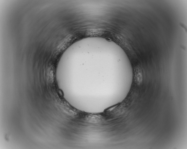 X0000100880716200807071126