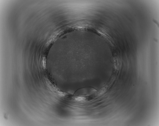 X0000100880718200807071126