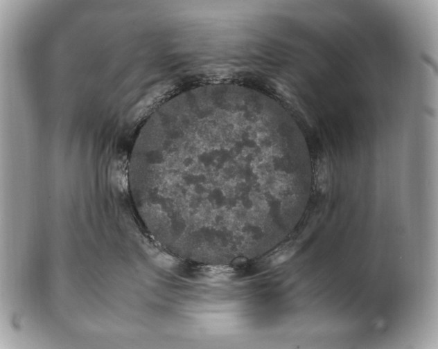 X0000100880719200807071126