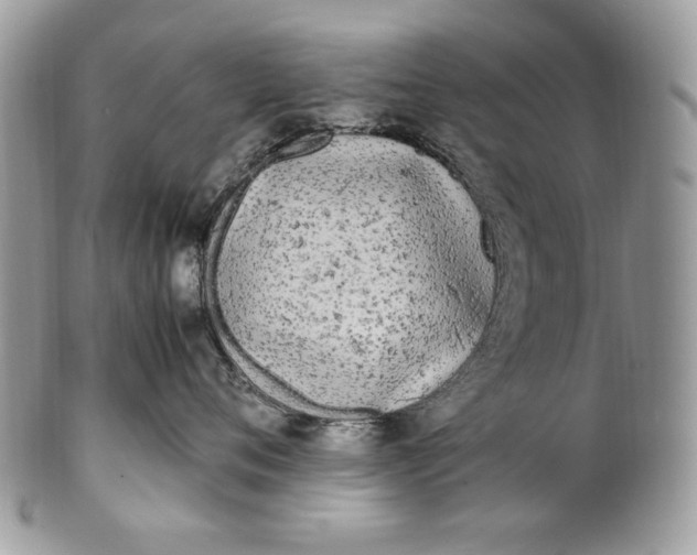 X0000100880720200807071126