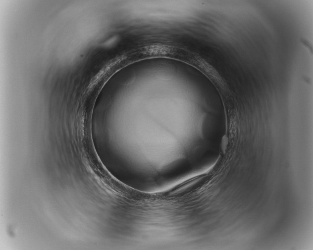 X0000100880722200807071125