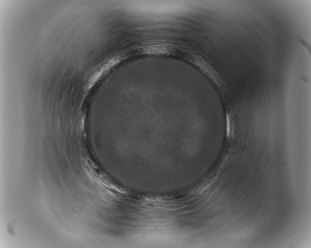 X0000100880723200807071125