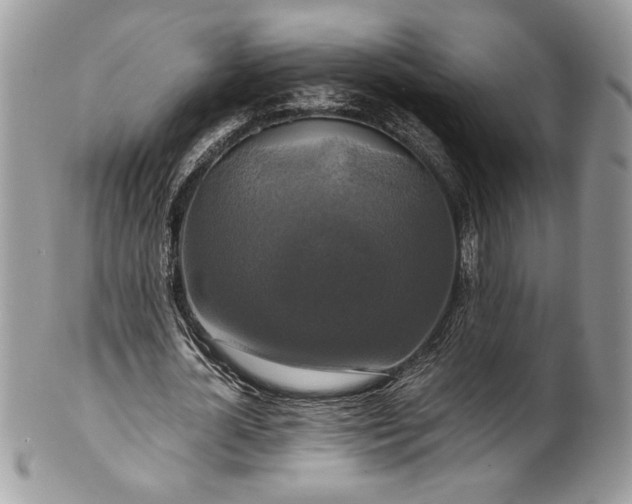 X0000100880724200807071125