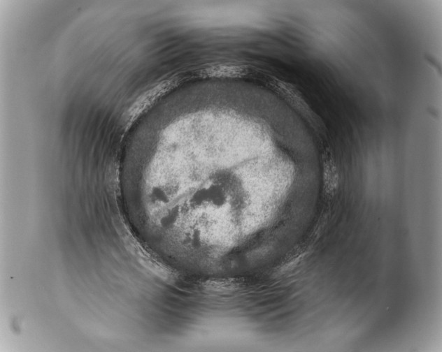 X0000100880725200807071125