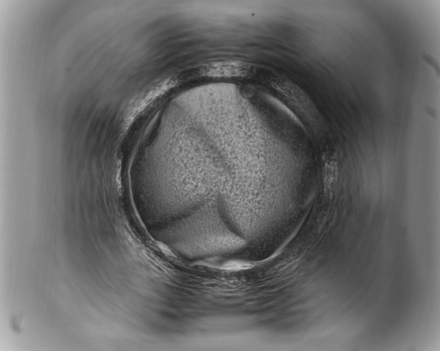 X0000100880727200807071125