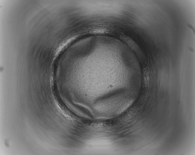 X0000100880728200807071125