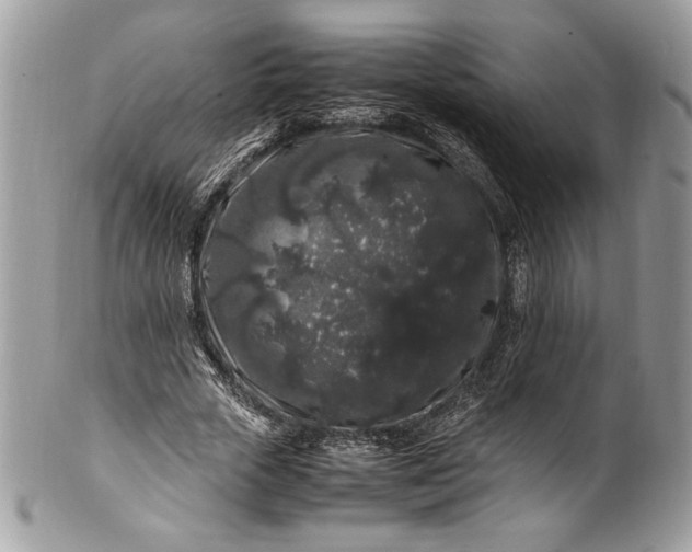 X0000100880729200807071125