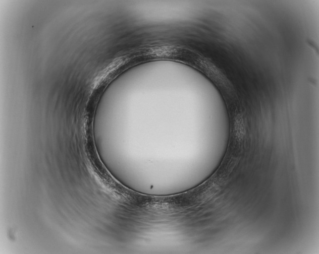 X0000100880730200807071125