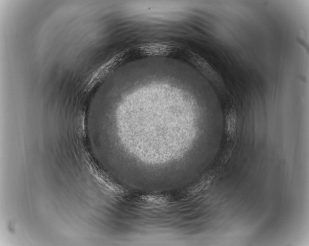 X0000100880733200807071125