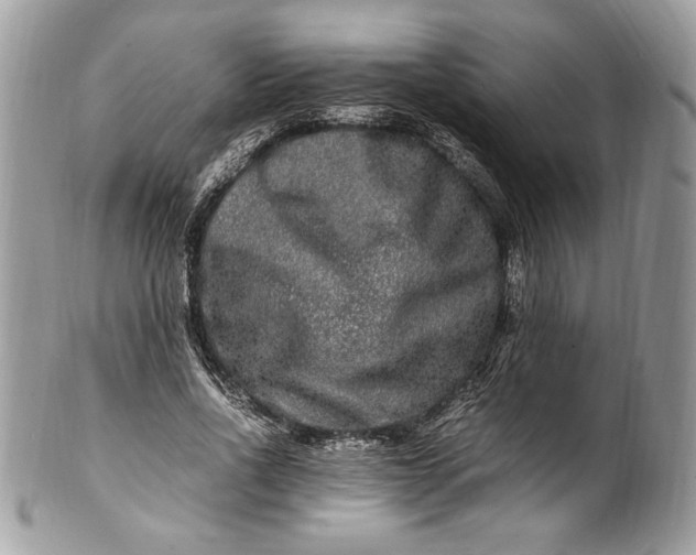 X0000100880734200807071125