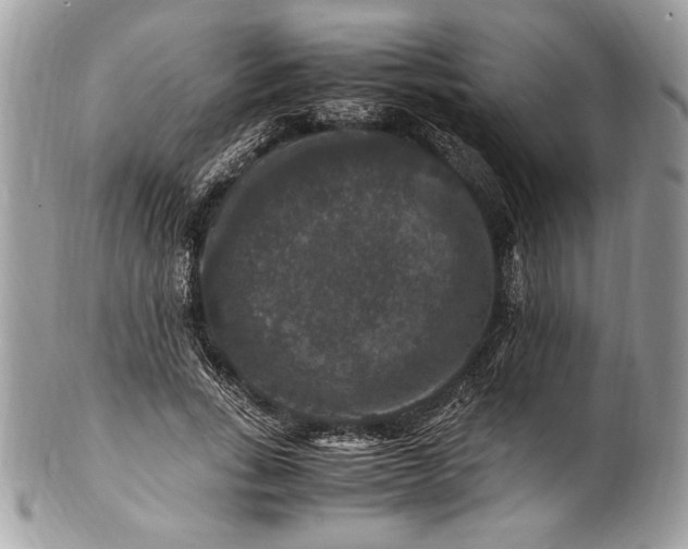 X0000100880735200807071125