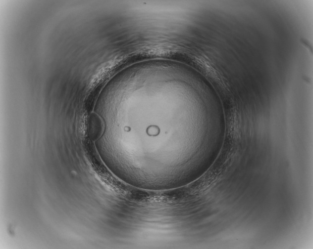 X0000100880736200807071125