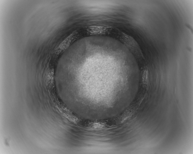 X0000100880737200807071125