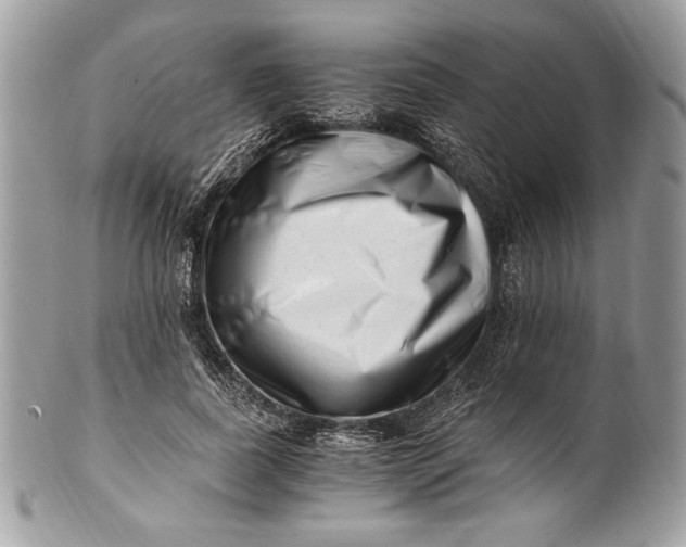 X0000100880739200807071126