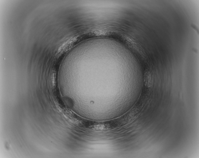 X0000100880740200807071126