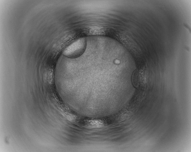 X0000100880741200807071126