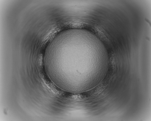 X0000100880744200807071126