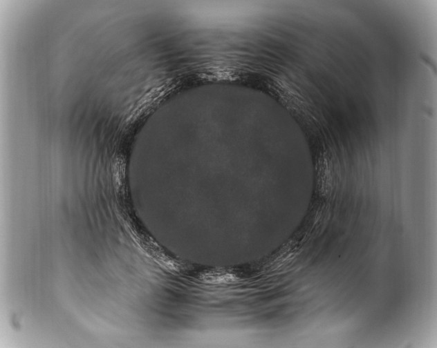 X0000100880747200807071126